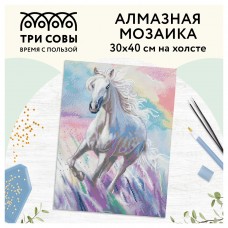 Алмазная мозаика ТРИ СОВЫ "Белая лошадь", 30*40см, холст, картонная коробка с пластиковой ручкой