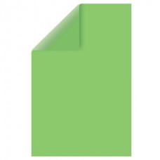 Картон двухсторонний А4 зеленый 1шт.