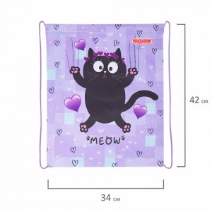 Мешок для обуви ПИФАГОР, 1 отделение, 42х34 см, "Falling cat"