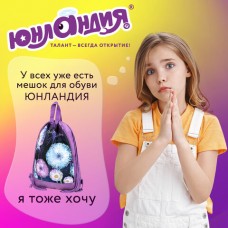 Мешок для обуви ЮНЛАНДИЯ с ручками, боковой карман на молнии, 46х36 см, "Flowers" Мешок для обуви ЮНЛАНДИЯ с ручками, боковой карман на молнии, 46х36 см, "Flowers"