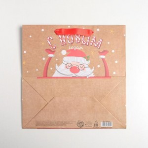 Пакет крафтовый квадратный «Дед мороз», 22 × 22 × 11 см