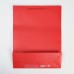 Пакет ламинированный «Красный», L 31 х 40 х 11,5 см