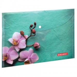 Папка-конверт с кнопкой BRAUBERG "Флора", А4, 160 мкм, до 100 листов, цветная печать