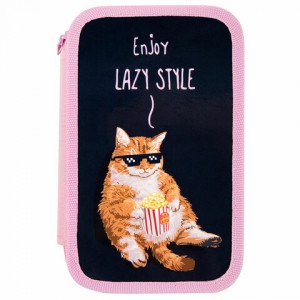 Пенал ПИФАГОР, 3 отделения, ламинированный картон, 19х11 см, "Lazy cat"