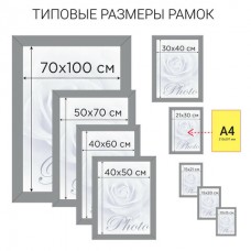 Рамка 21х30 см, пластик, багет 20 мм, BRAUBERG "HIT3", темный орех с двойной позолотой, стекло Рамка 21х30 см, пластик, багет 20 мм, BRAUBERG "HIT3", темный орех с двойной позолотой, стекло