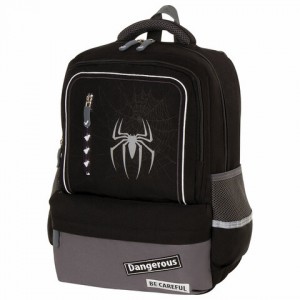 Рюкзак BRAUBERG STAR, "Spider", черный, 40х29х13 см