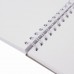 Скетчбук, белая бумага 100 г/м2, 105х148 мм, 60 л., гребень, жёсткая подложка, BRAUBERG ART "DEBUT"