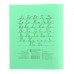 Тетрадь 12 листов линейка "Зелёная обложка", блок №2 КПК, 58-63 г/м2, белизна 70-75%